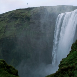 Tamarind falls hiking
            trip - full day