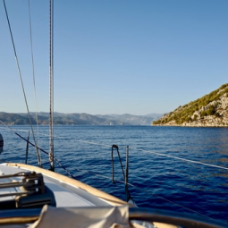 he blue marine discovery
            quest